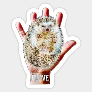 Hedgehog hand sweet trend Sticker
